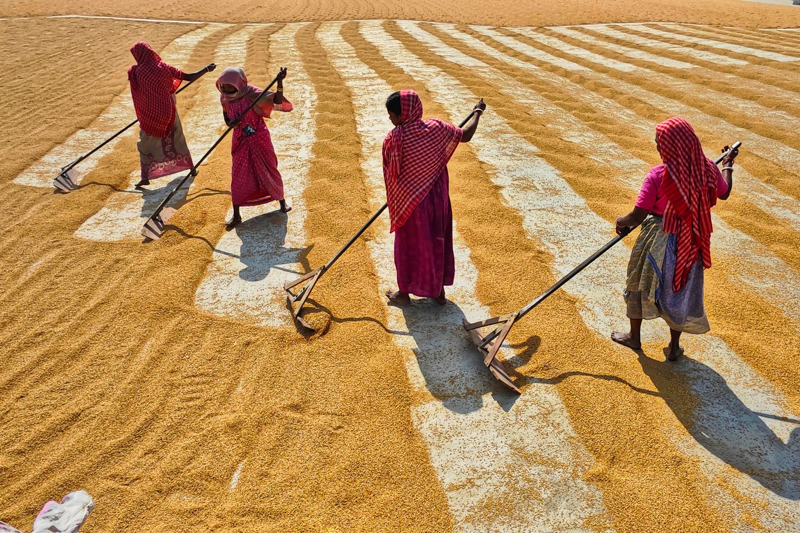 Women and gender research